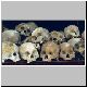 Killing Fields